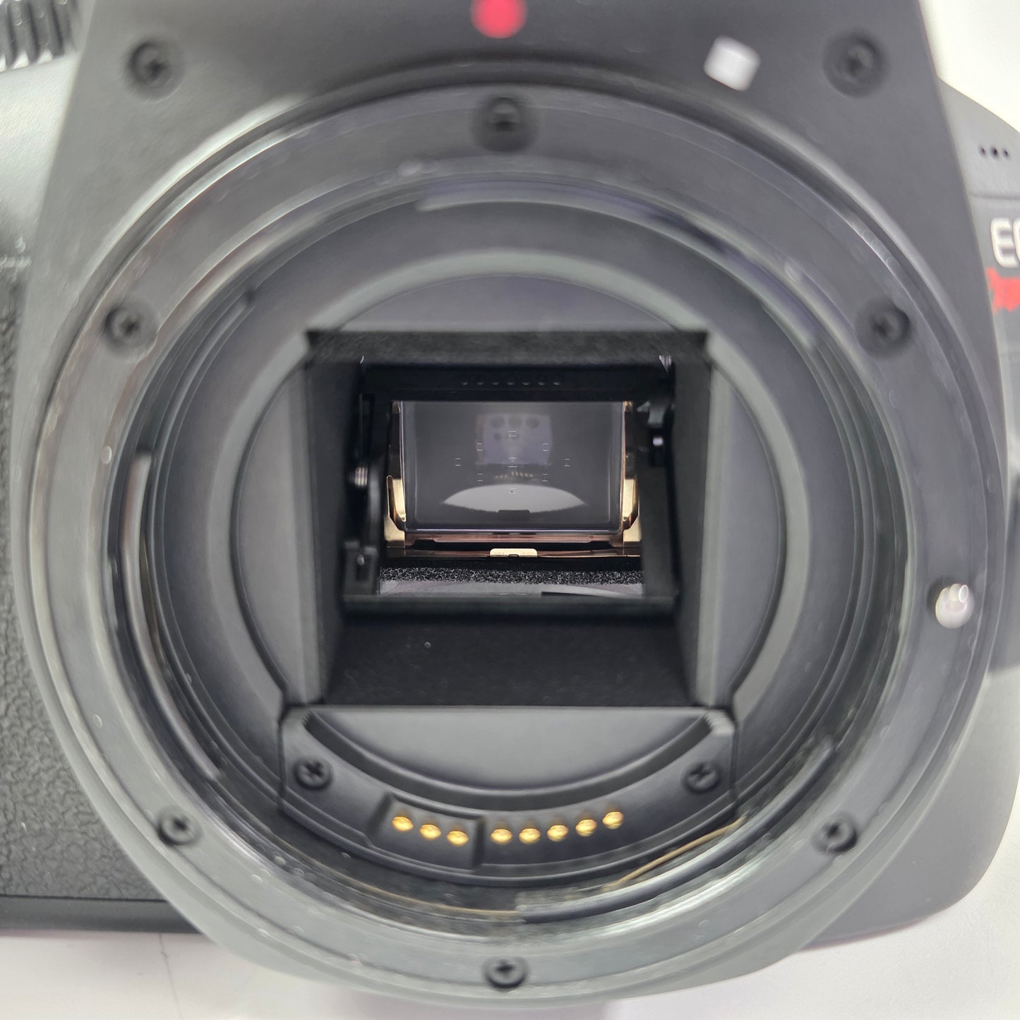 Canon EOS Rebel T100 18.0MP Digital SLR DSLR Camera